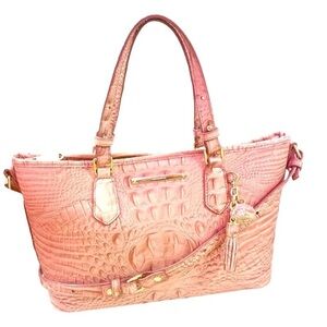 🩷Brahmin Mini Asher Crossbody Bag🩷